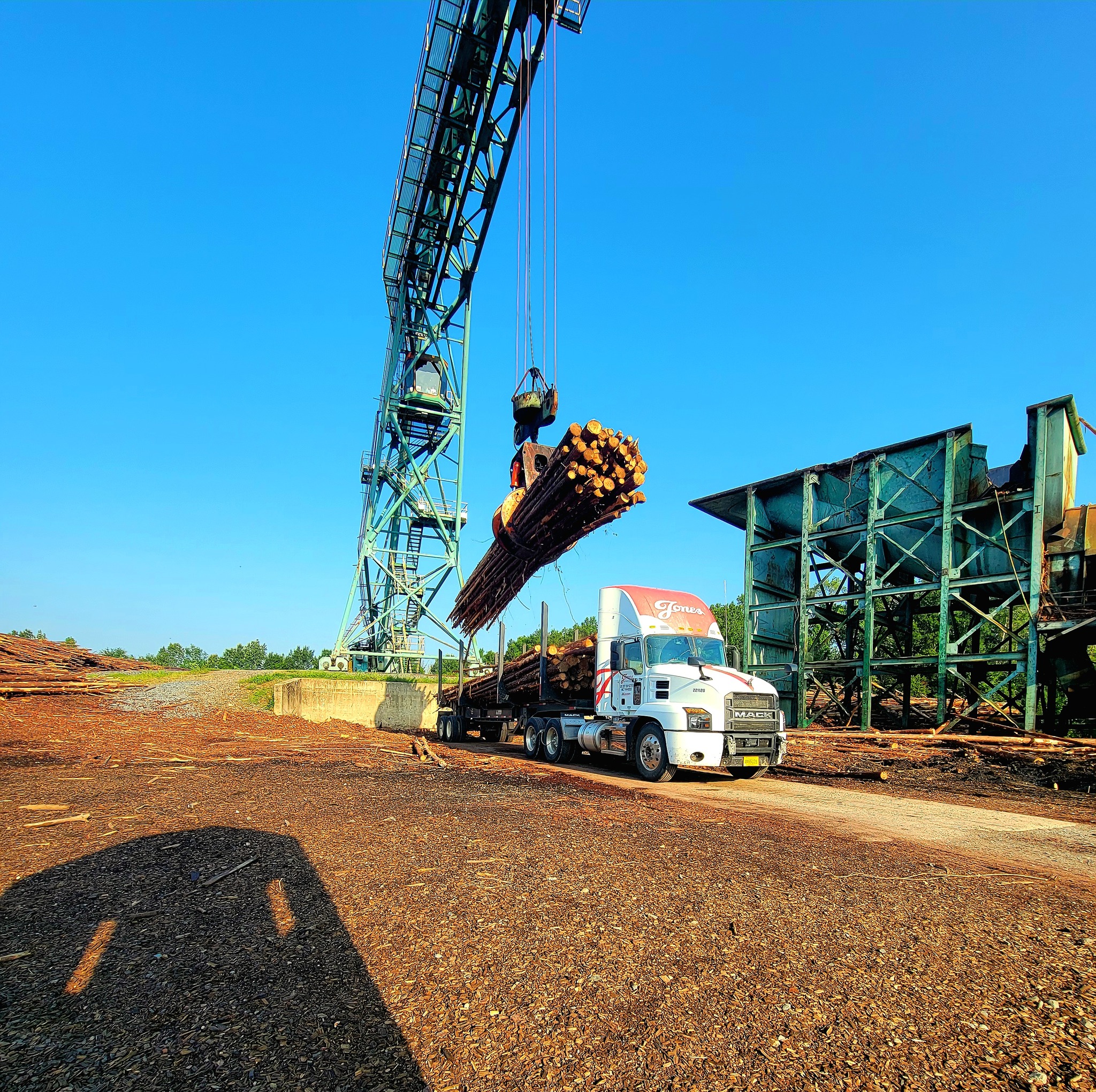A Dedicated JoLo truck is being loaded with logs by a crane.